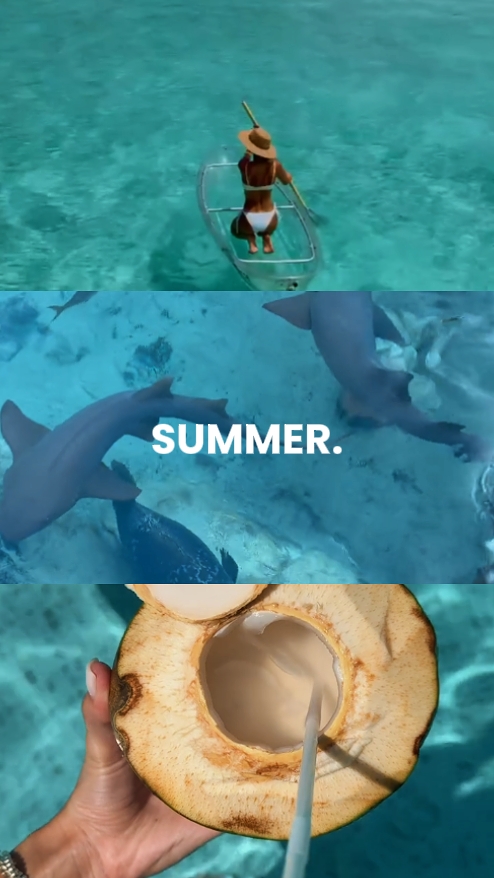 SUMMER