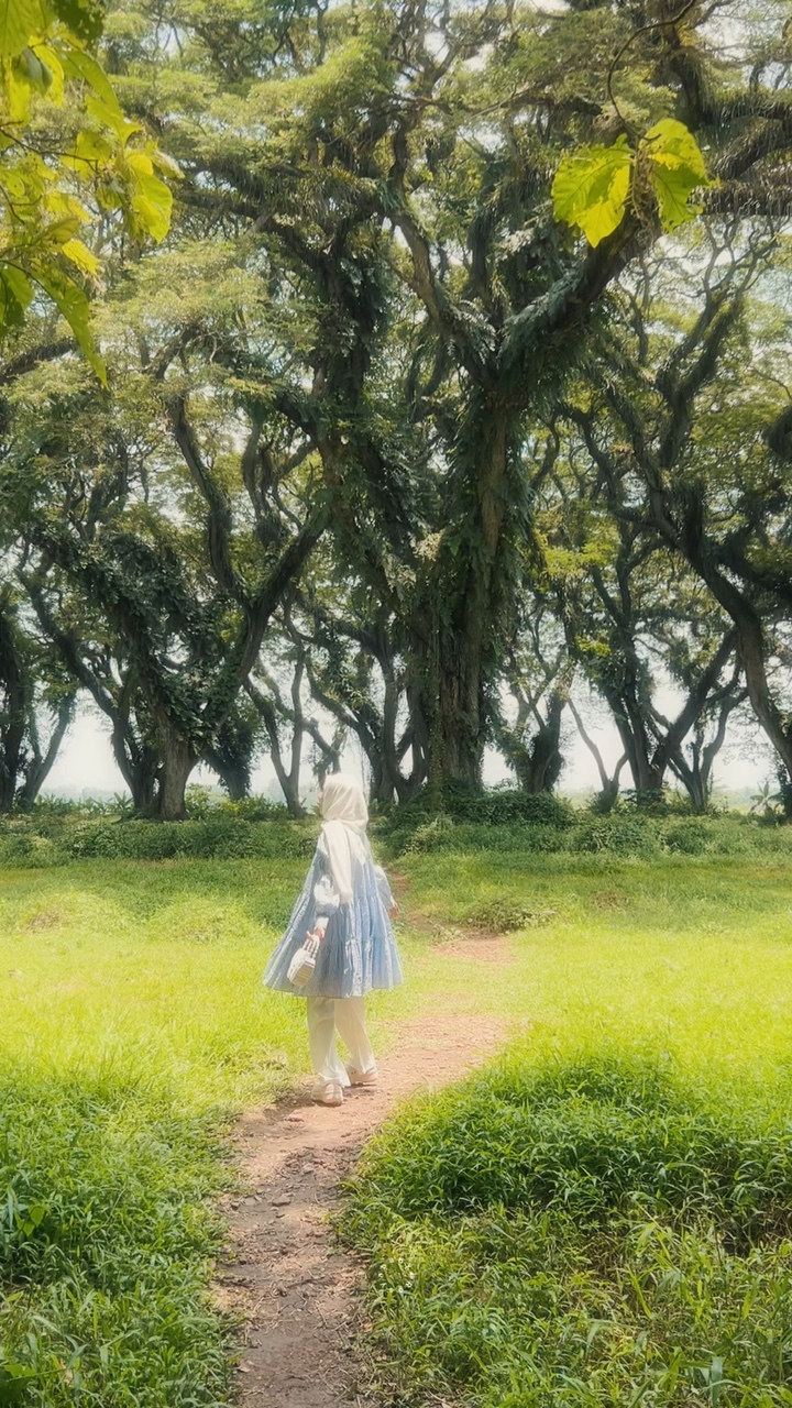 She was a fairy