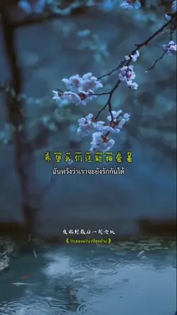 爱你到最后一刻女版