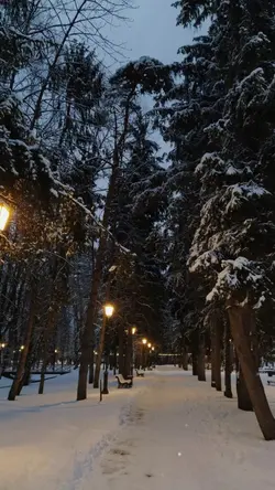 [2]The First Snow