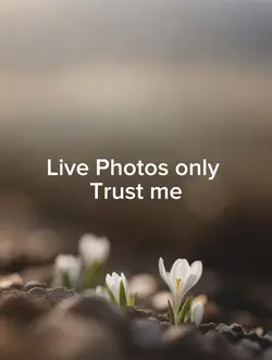 Live Photos only