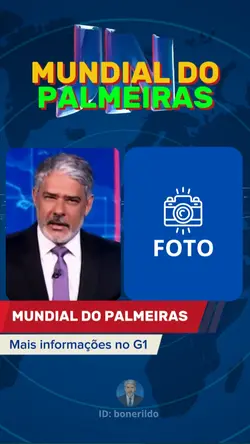 MUNDIAL DO PALMEIRAS