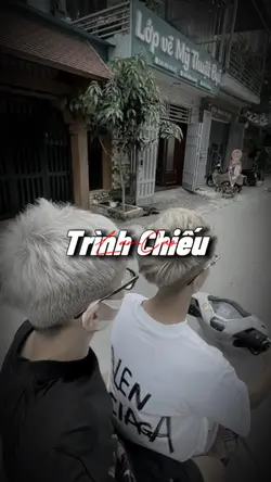 Trình chiếu