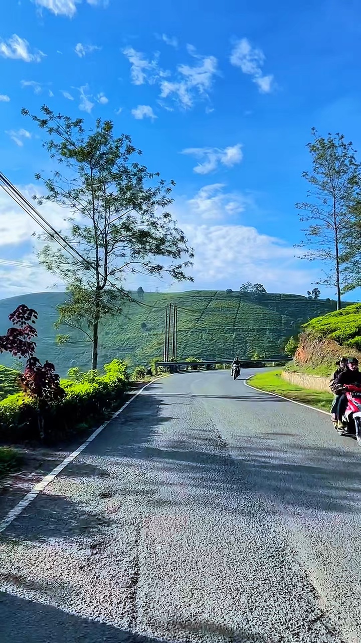 7 video na paglalakbay sa kalsada