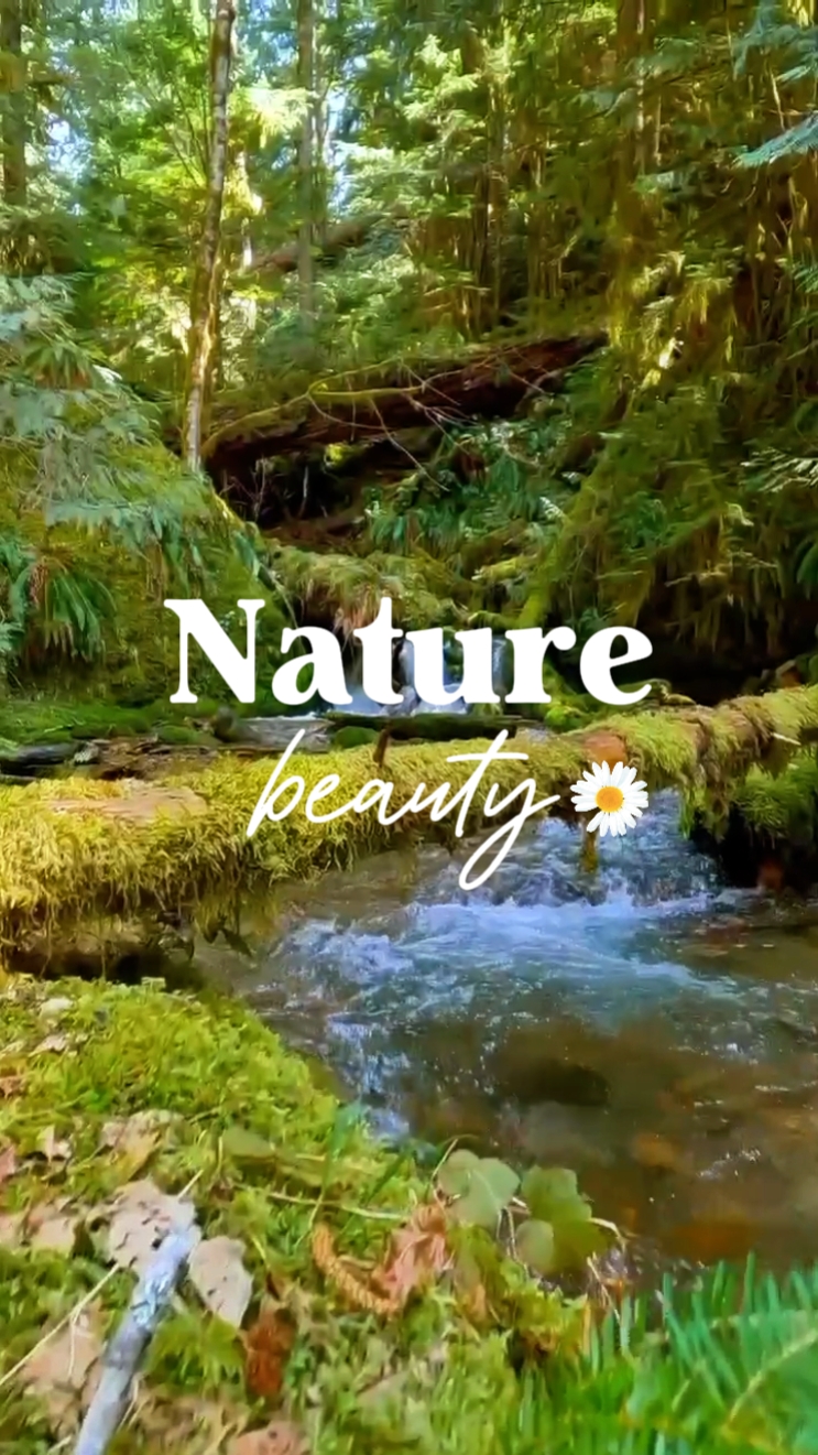 Ästhetische Natur 