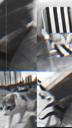 4 fotos live 