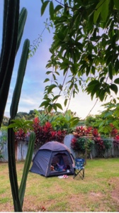 Camping Vlog