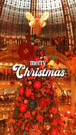merry christmas
