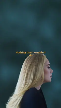 Make You Feel My Lov