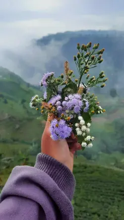 Every Day I Love You