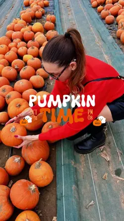 Pumpkin time