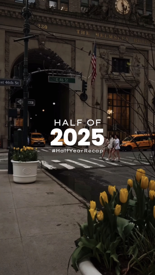 2025년의 절반