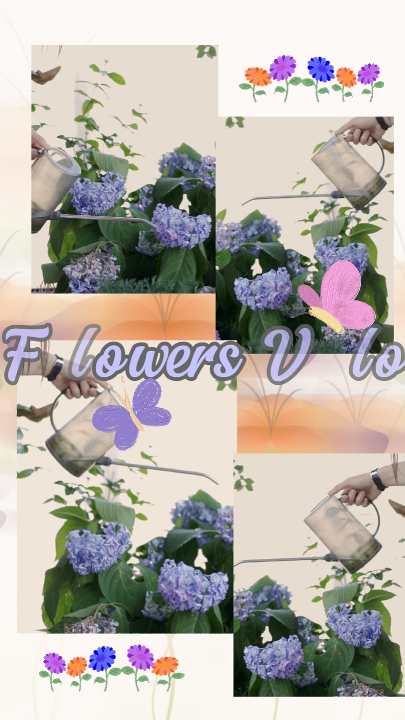 6. Flowers Vlog