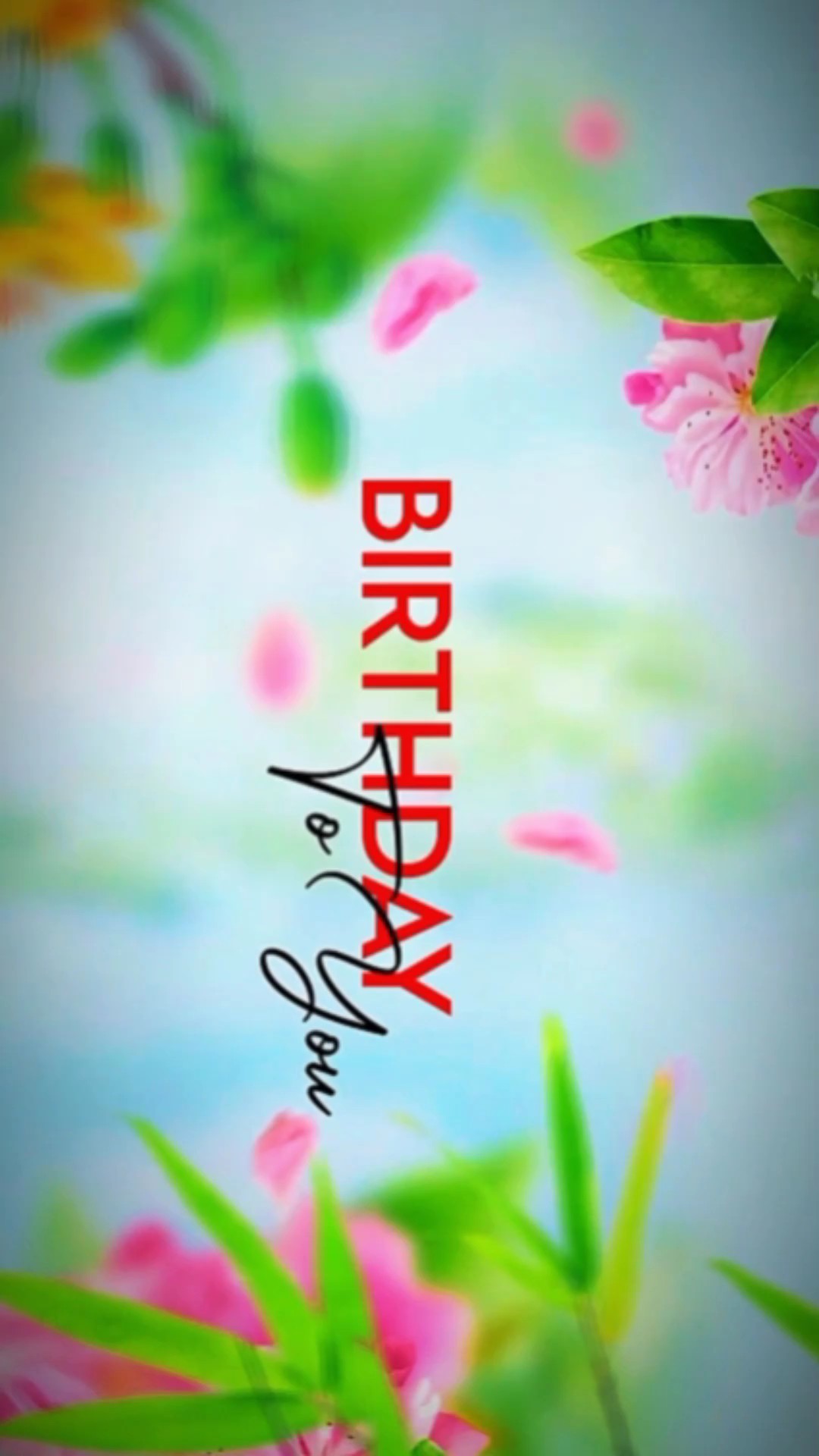 Happy Birthday 