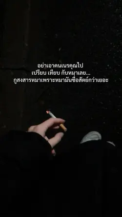 อย่าเอาไปเทียบกับหมาเลย