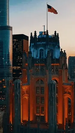 Cityvibes transition