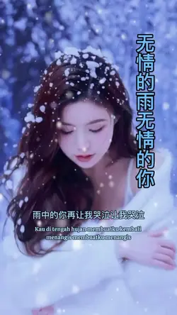 无情的雨无情的你