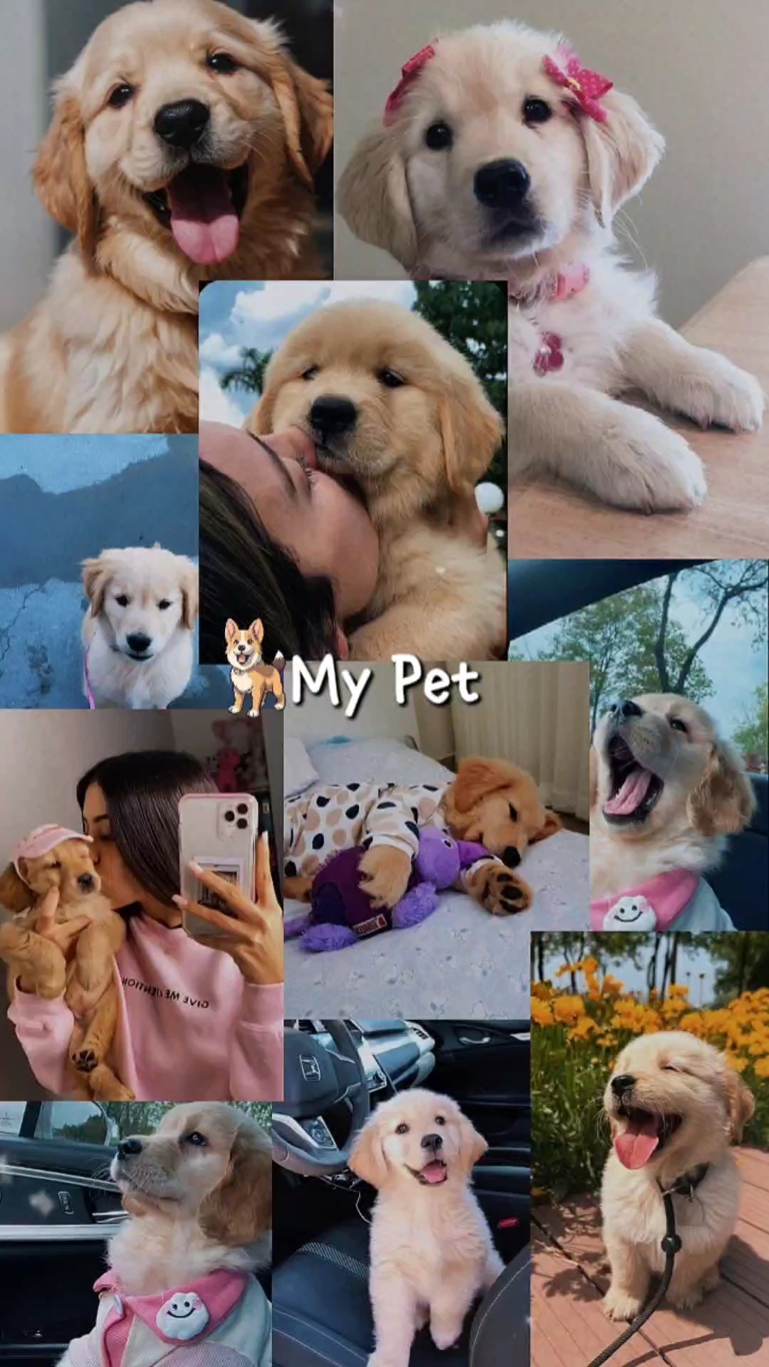 my pet