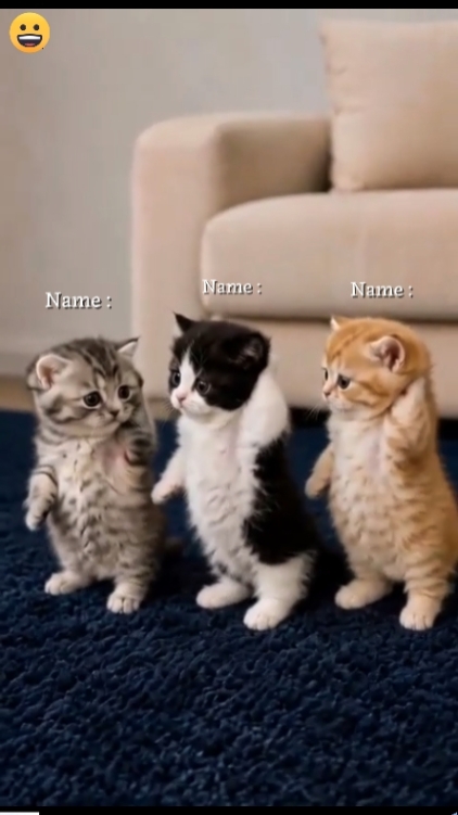 Escrever Nome 