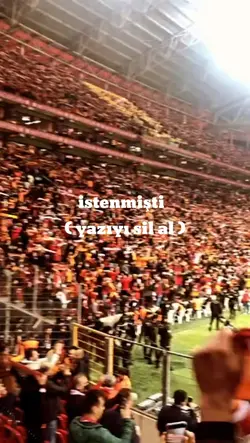 fancam Cimbom 