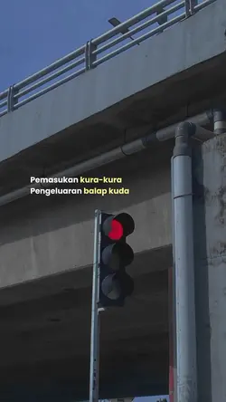 pemasukan kura-kura 