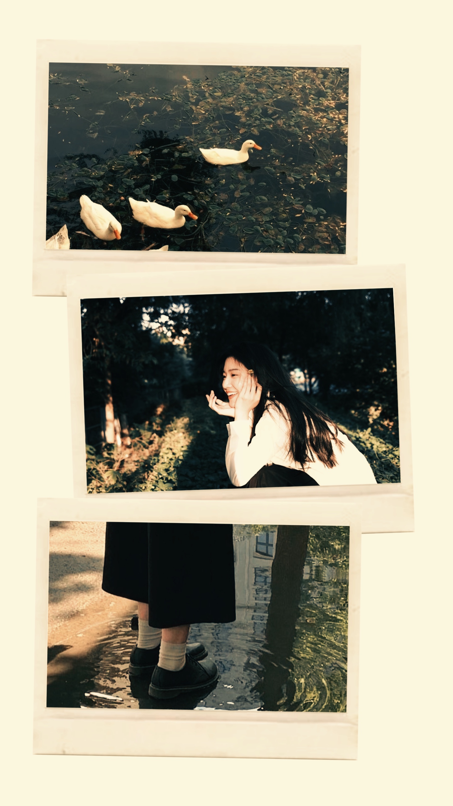 3 frame aesthetic 