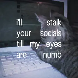 stalk ur socials