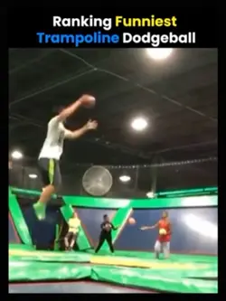 Dogball trampoline