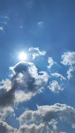 vibes introvert