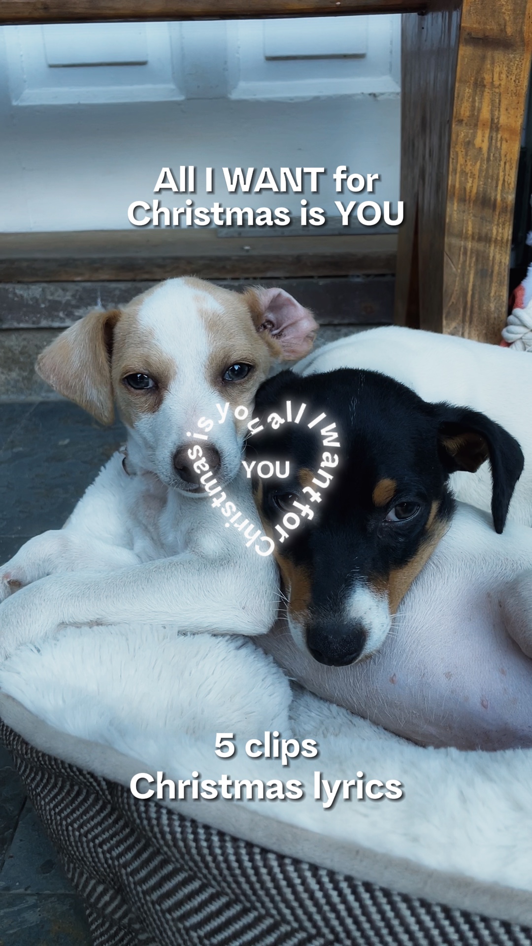 Letras de natal 🎄