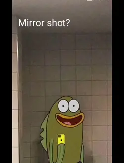 mirror shot?