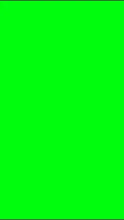 Lizard green screen