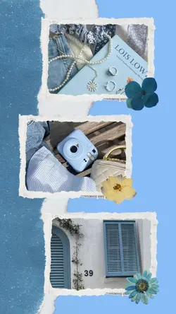 aesthetic frame.blue
