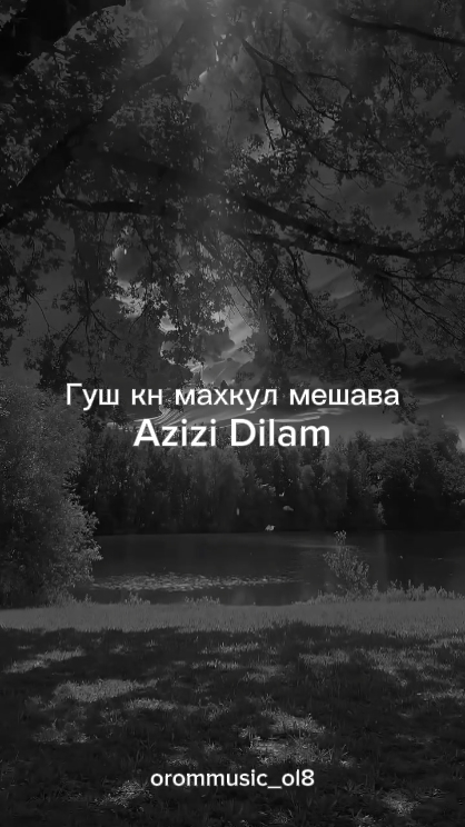 Azizi Dilam