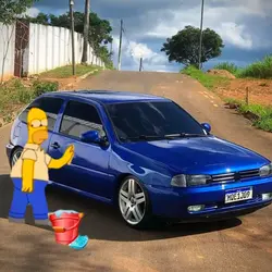 Lavando o carro