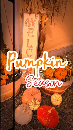 Fall/pumpkin season
