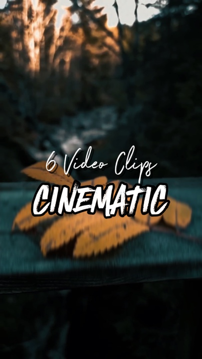 6 Video Clips