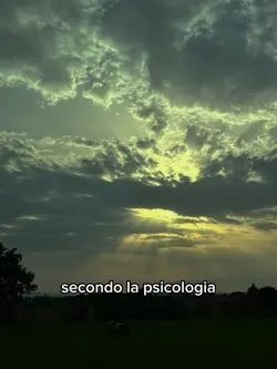 Sogni a occhi aperti