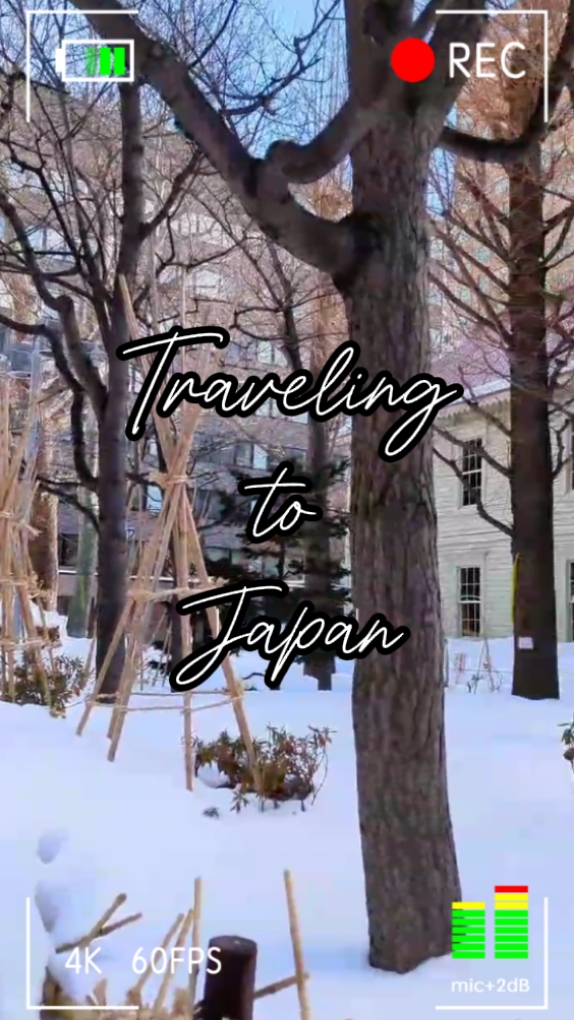 Traveling to Japan 