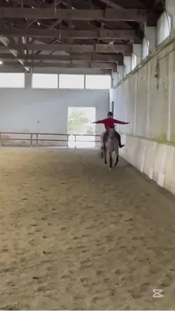 Ponyyy