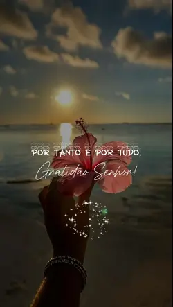 Gratidão Senhor 