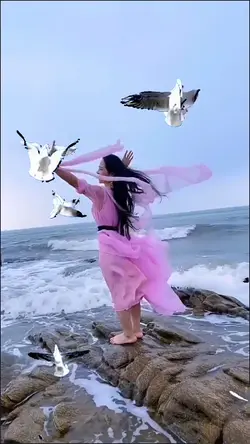 Happy seagulls