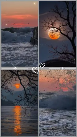 fotos e vídeos 