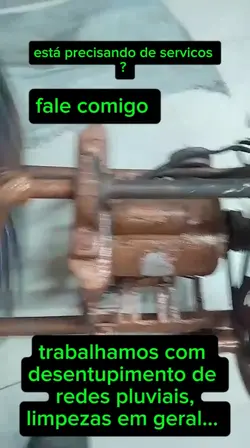 divulgação