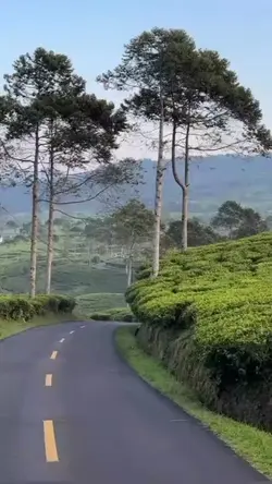 Tak ku pahami