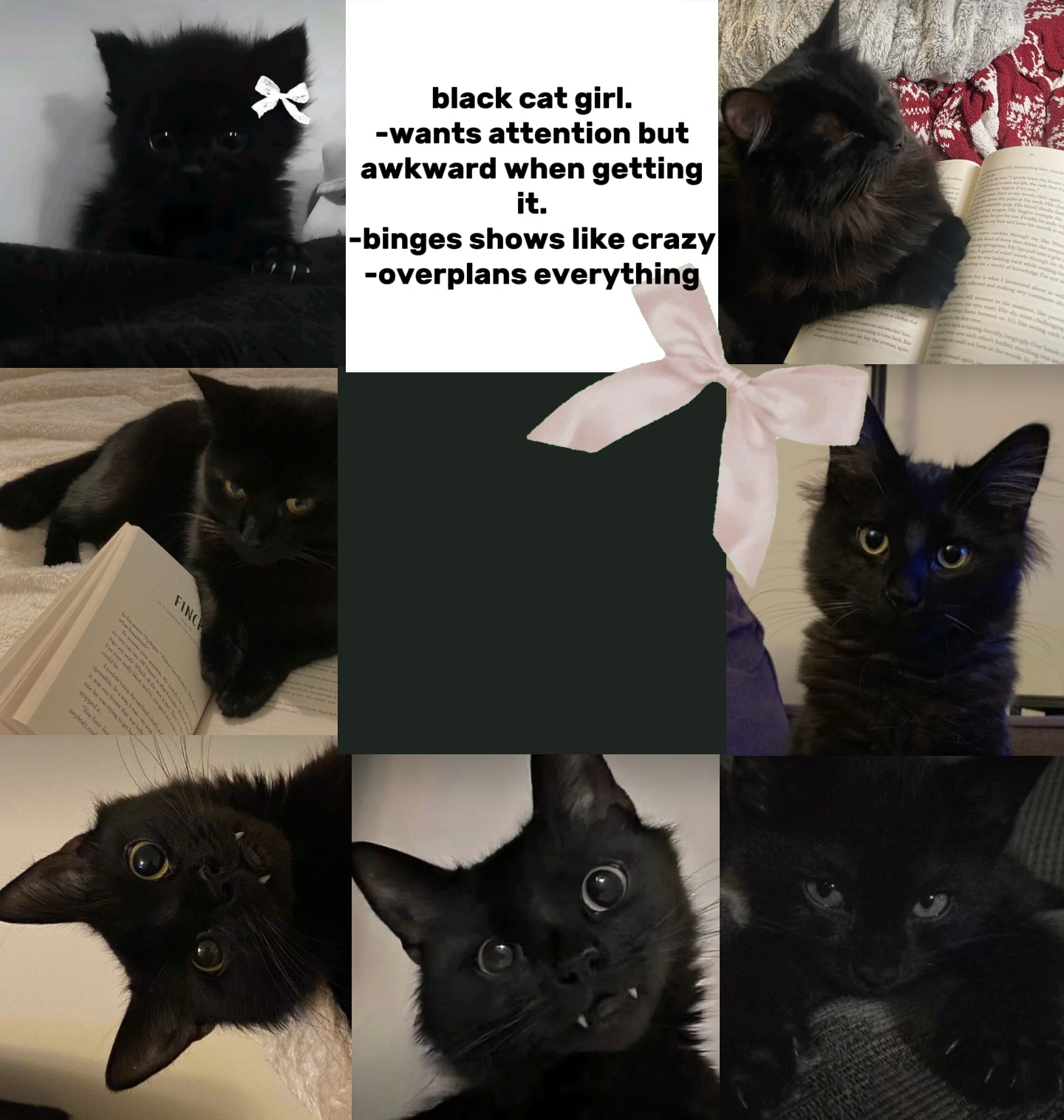 Chica gato negro