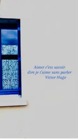 Victor Hugo 