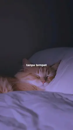 terlalu berharap 
