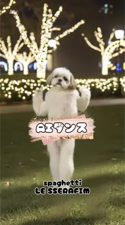 スパゲッティ　ルセラフィム