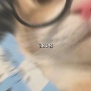 아픈건 딱 질색이니까